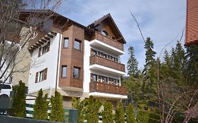 Cosy & Minimalistic Apartments Sinaia - Mountain View & Parking
